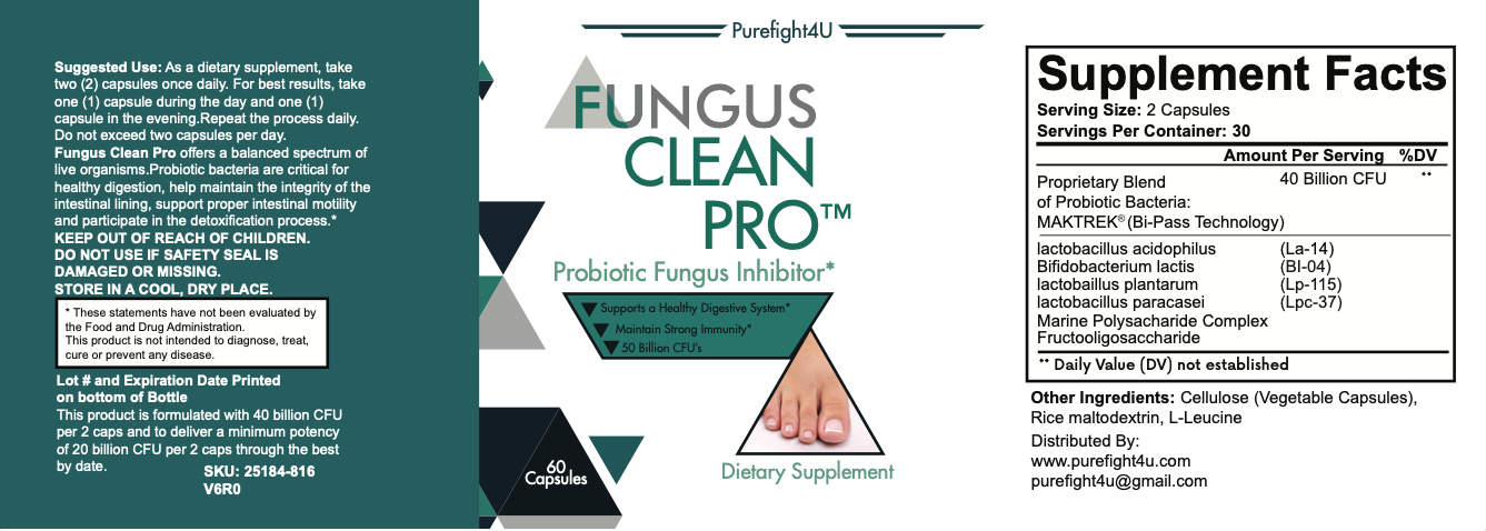 FUNGUS CLEAN PRO Toenail Care - 4 Bottles 240 Vegetarian Capsules