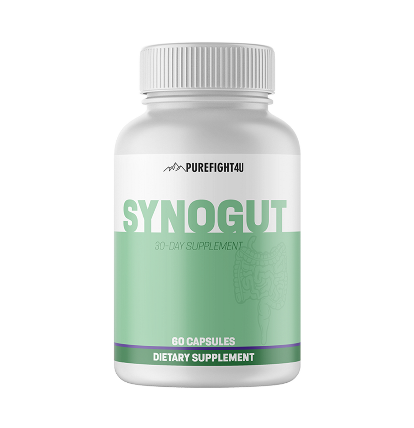 Synogut 4 Bottles 240 Capsules